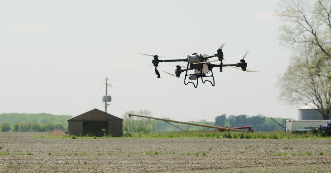 The Advantages of Using Drones for Crop Disease Detection