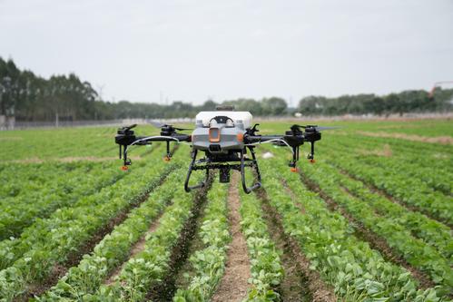 DJI Agras T10